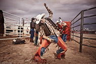 Brazilian bull rider, André Fereira, preparing for his try, Rawhide Rodeo, Lindsay Ontario 2009