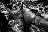 Guerilla Camp, near Pacaya Volcano. Guerillas bath in a stream by their camp as they prepare to disarm after the civil war. Some of these boys were born and raised in the bush by guerilla parents and have never known any other life.