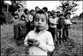 Tsalbal, Guatemala. A young boy with a pine cone sprouting a new tree possibly symbolizes the hope of these school children  who, as yet without a school, meet in the open of this new village that war refugees are creating after the peace process.