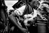 Nebaj, Guatemala. A Mayan peasant in the traditional dress of her region brings a piggy to market in the heart of this once war-torn province.
