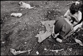 Shesahtshiu, Nitassinan/Labrador. Innu children at play act out scenes of everyday family. On the ground near the children lies a caribou leg bone, a sign of the decline of collective spirituality and morale in a culture which by tradition holds the caribou in highest esteem and by traditional law never allow unused parts of slaughtered wildlife to fall on the ground where they might be eaten by dogs. Dogs are considered one of the lowest forms of life, Nitassinan/Labrador. Copyright Peter Sibbald, 1993.