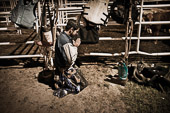 Caledonia, Ontario. Rawhide Rodeo

Brazilian bull rider, Edson Silva prays before his rideRawhide Rodeo,