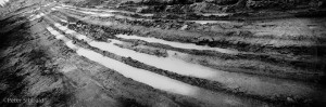Markham, Ontario.  Mud Tracks. Approximately 43°54'28.78"N  79°14'59.11"W, facing East, circa May 21, 2004